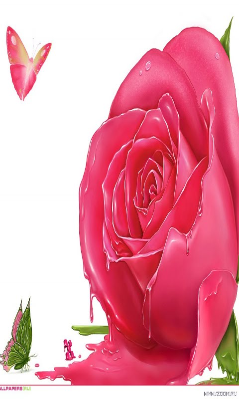 십대 소녀 전화 벽지,분홍,정원 장미,장미,꽃잎,꽃