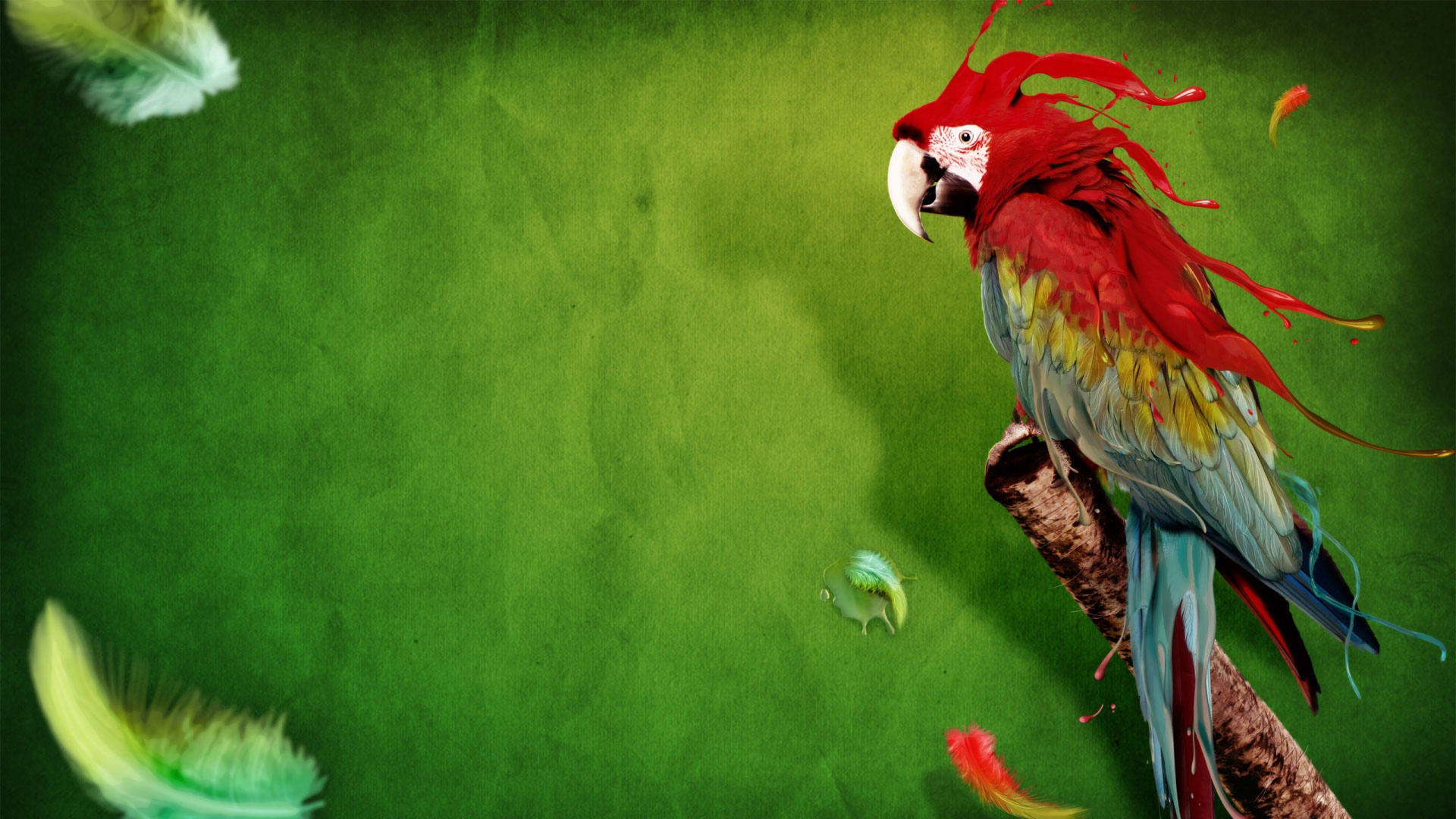 parrot wallpaper download,bird,macaw,parrot,beak,budgie