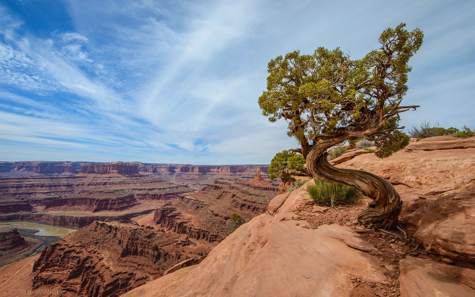 puro fondos de pantalla hd,naturaleza,árbol,cielo,paisaje natural,planta leñosa