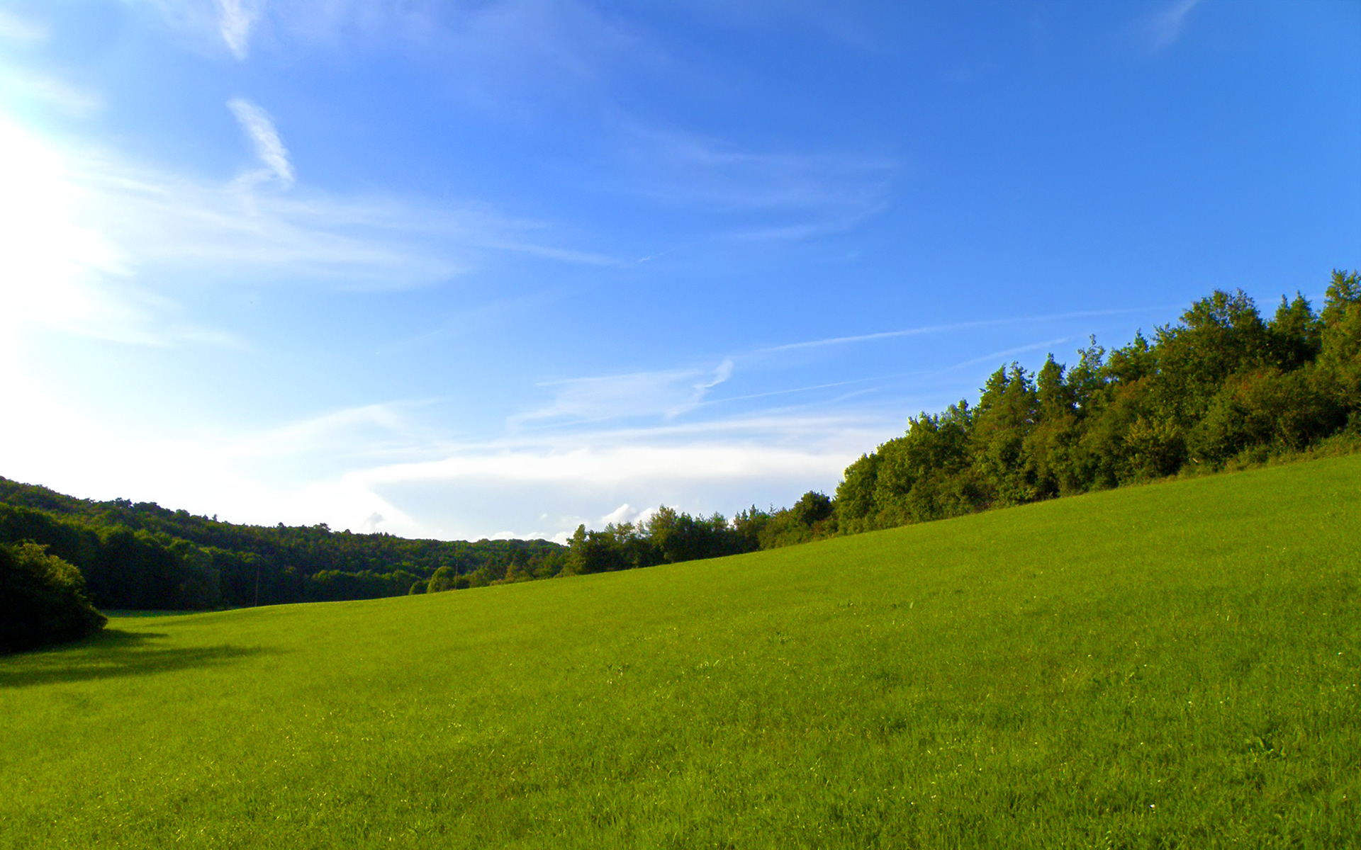 無料壁紙写真,空,自然の風景,草原,緑,自然