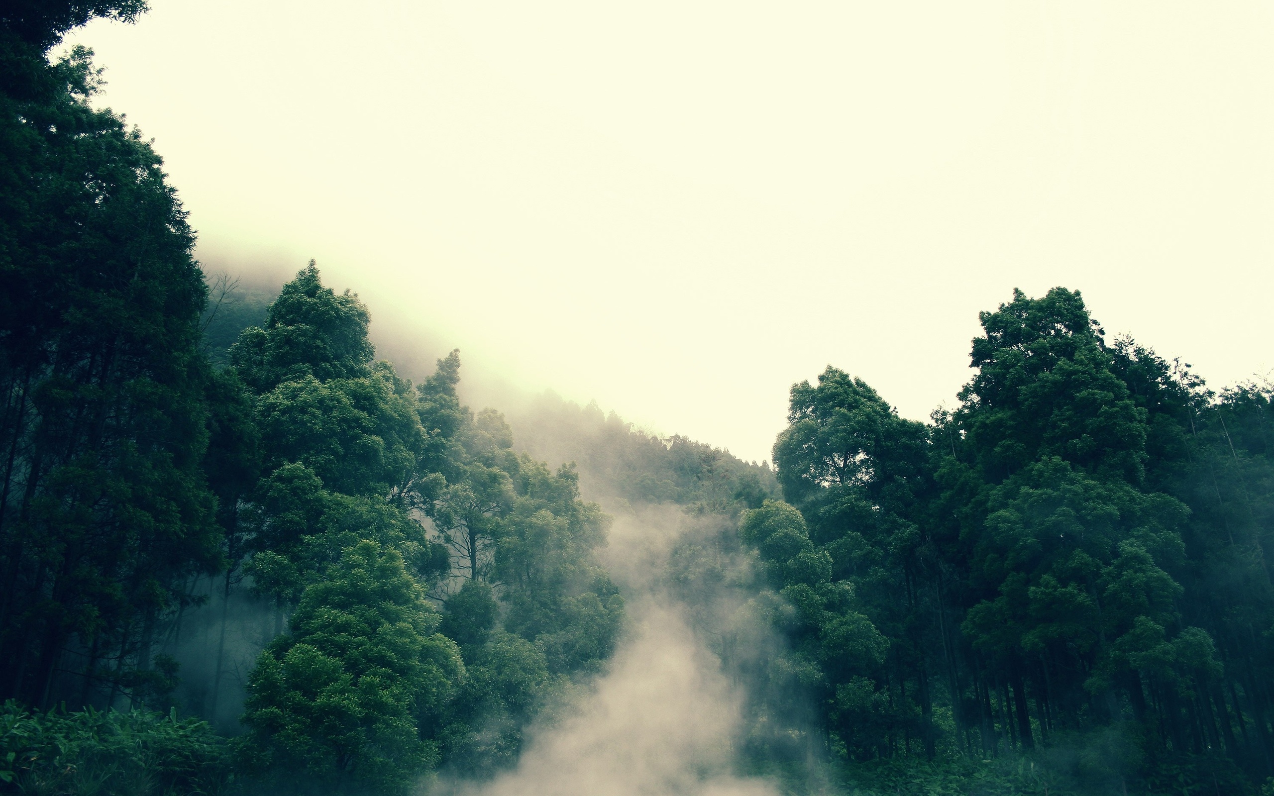 free desktop wallpaper hd,sky,nature,green,natural landscape,atmospheric phenomenon