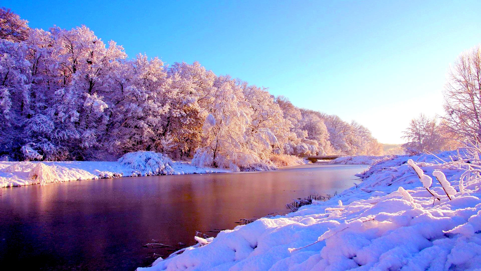 wallpaper hd widescreen desktop di alta qualità,inverno,paesaggio naturale,natura,neve,brina