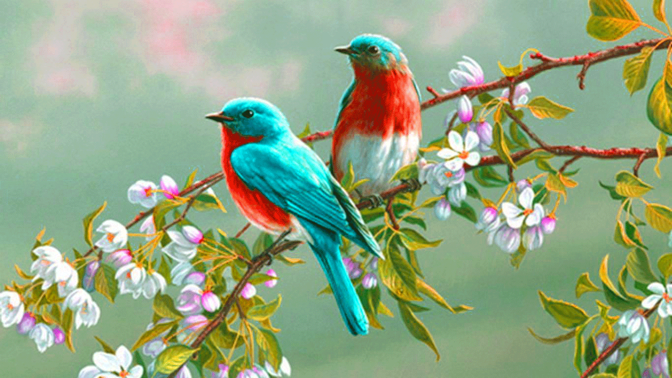 descarga de fondo de pantalla superior,pájaro,pájaro posado,pájaro cantor,planta,empavesado pintado