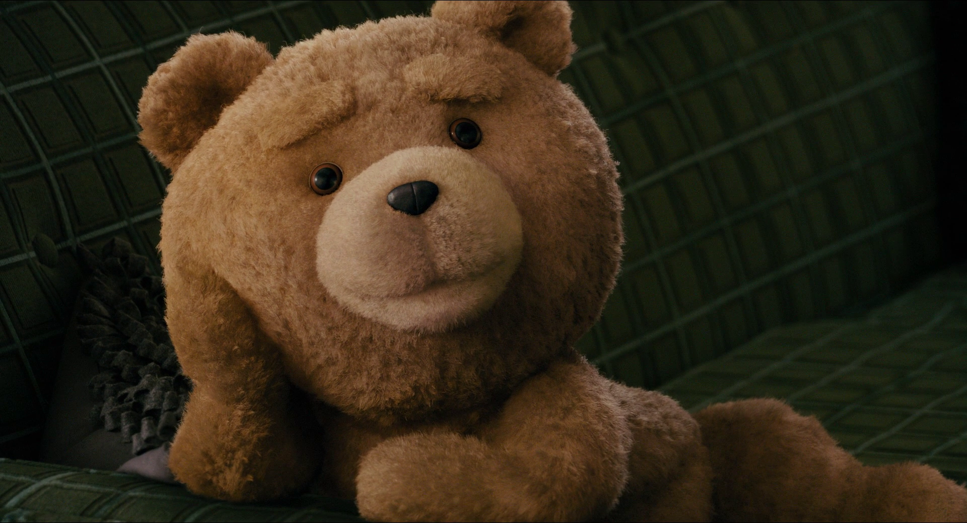 fondo de pantalla de ted,oso de peluche,peluche,juguete,felpa,marrón