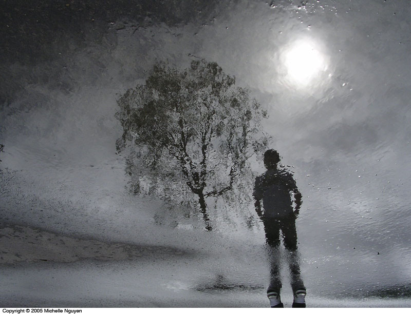 wallpaper hujan hidup,atmospheric phenomenon,snow,sky,black and white,standing