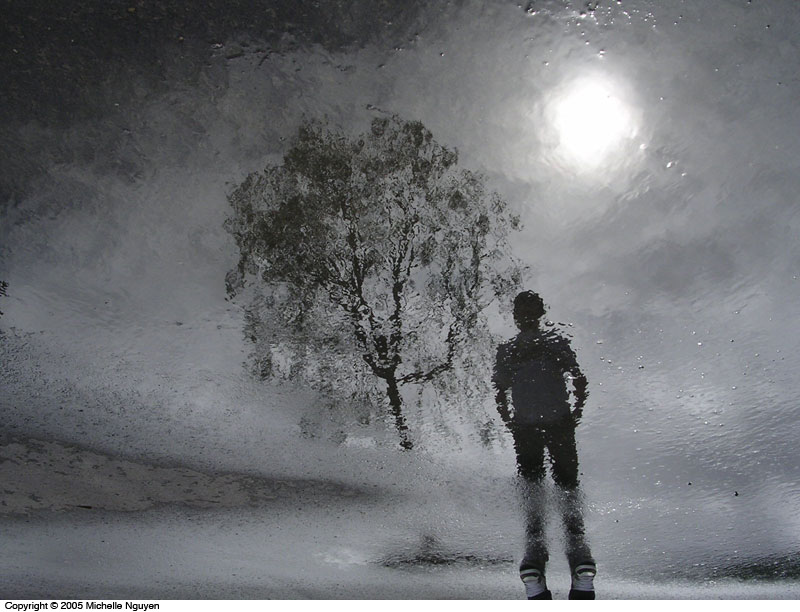 tapete hujan hidup,schnee,himmel,schwarz und weiß,stehen,winter