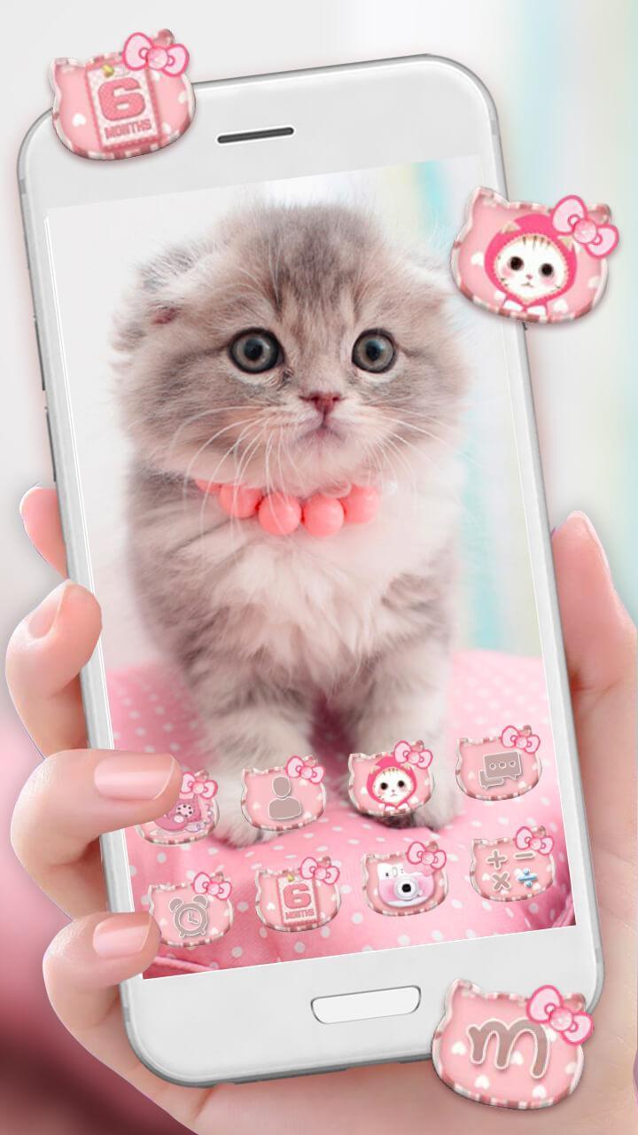 tema fondos de pantalla animasi,gato,rosado,felidae,gatos pequeños a medianos,gatito