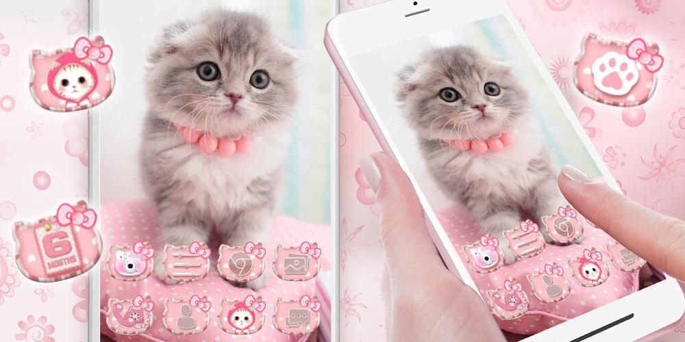 tema wallpaper animasi,cat,small to medium sized cats,felidae,pink,kitten