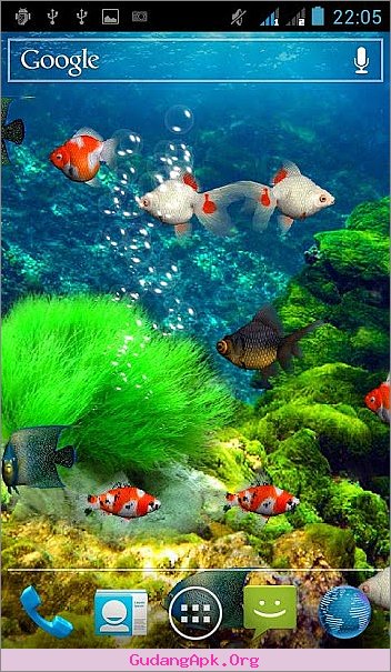 papier peint aquarium hidup,poisson,sous marin,biologie marine,aquarium,poisson