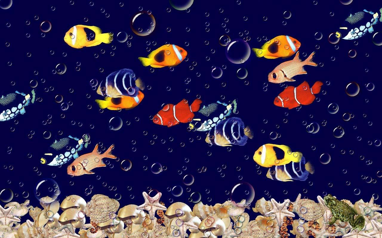 aquarium wallpaper hidup,organism,illustration,font,pattern,space