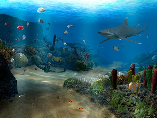 fond d'écran animasi bergerak téléchargement gratuit,sous marin,biologie marine,poisson,poisson,récif de corail
