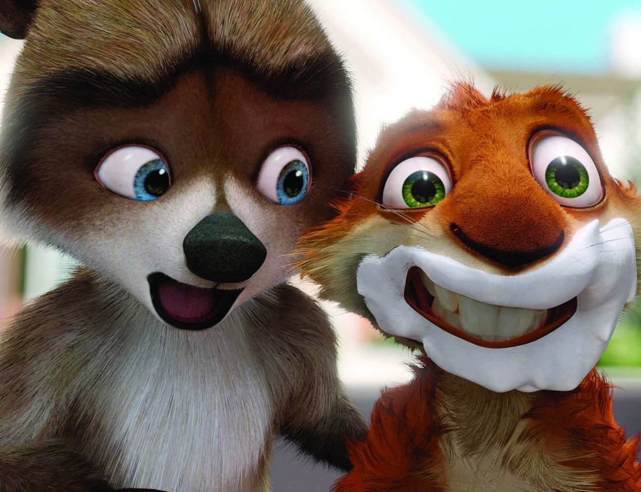 Wallpapaer Animasi Kartun Over The Hedge Rabid Squirrel WallpaperUse