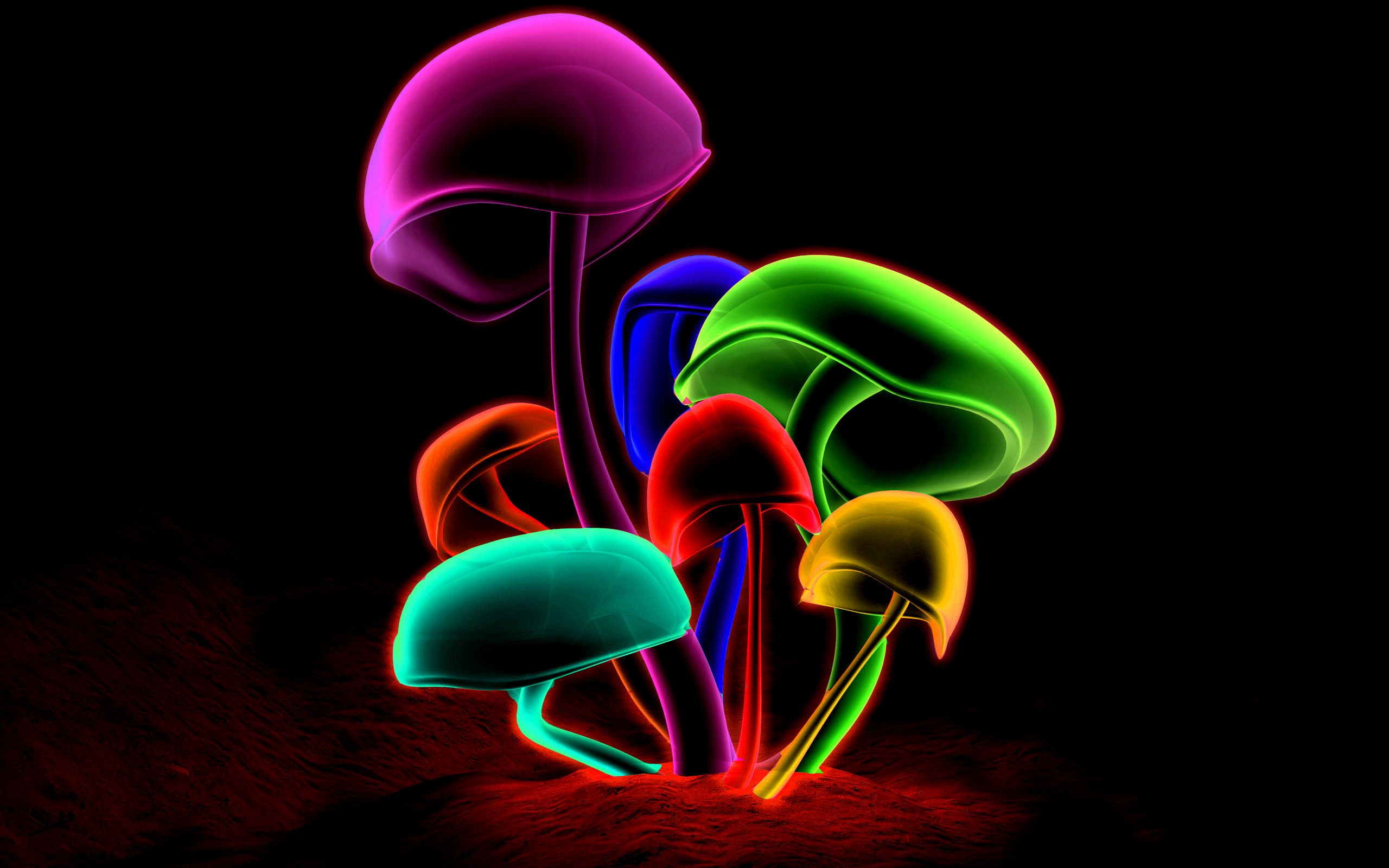 télécharger le fond d'écran de thème,champignon,conception graphique,néon,plante,illustration