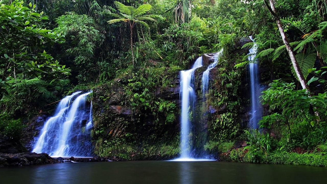 壁紙air terjun bergerak untuk android,滝,水資源,水域,自然の風景,自然