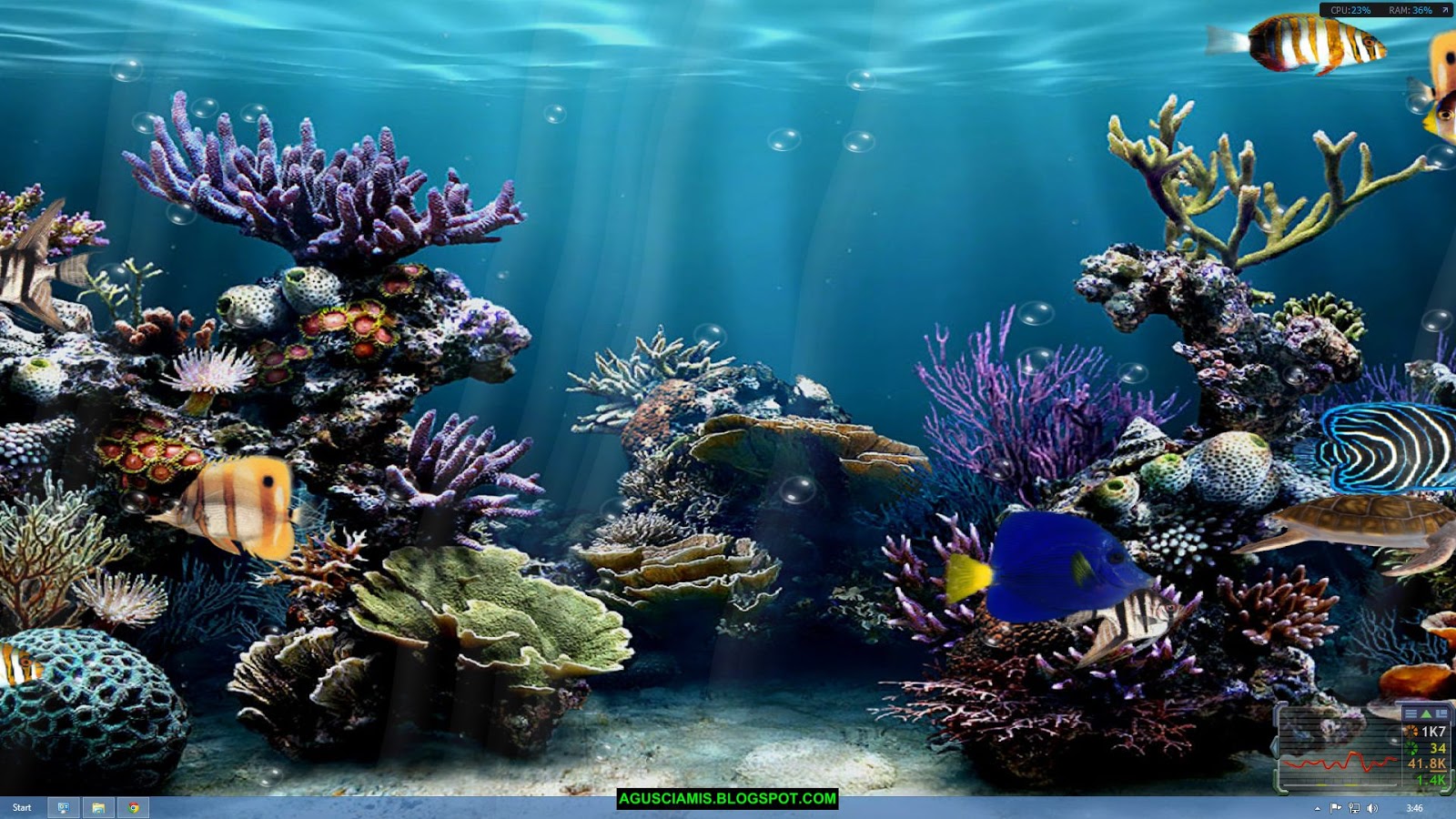 wallpaper animasi 3d bergerak,reef,coral reef,stony coral,aquarium decor,marine biology