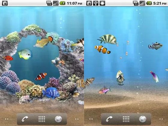 壁紙水族館bergerak,魚,pcゲーム,ゲーム,海洋生物学,スクリーンショット