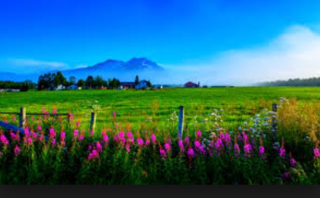 wallpaper pemandangan alam bergerak,nature,natural landscape,meadow,grassland,flower