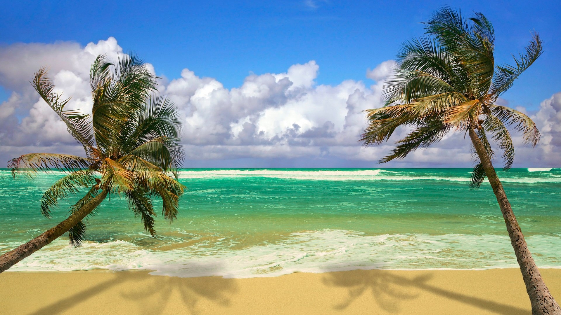 fond d'écran gratuit de l'océan,la nature,arbre,palmier,caraïbes,ciel