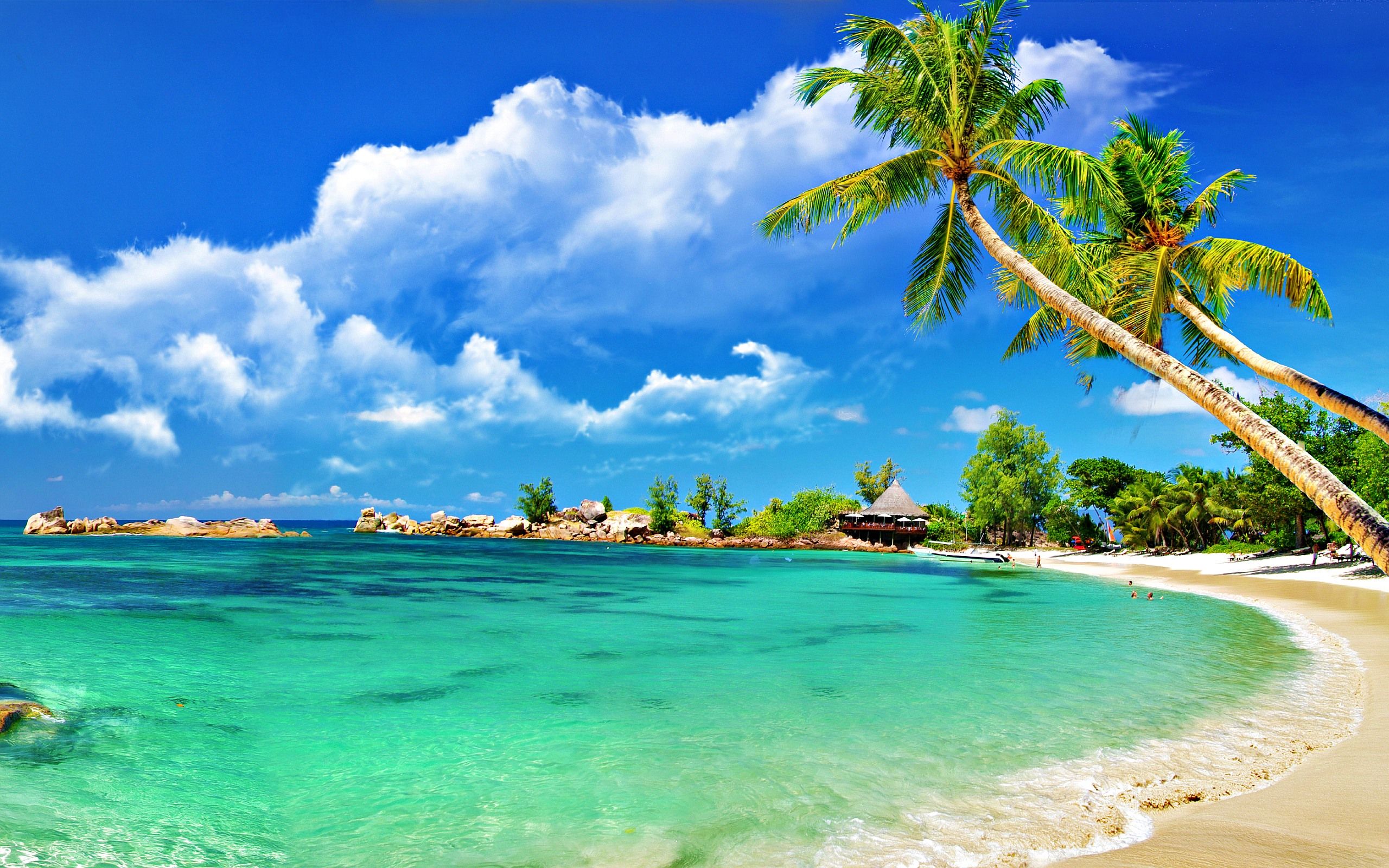 beach computer wallpaper,body of water,natural landscape,tropics,nature,beach