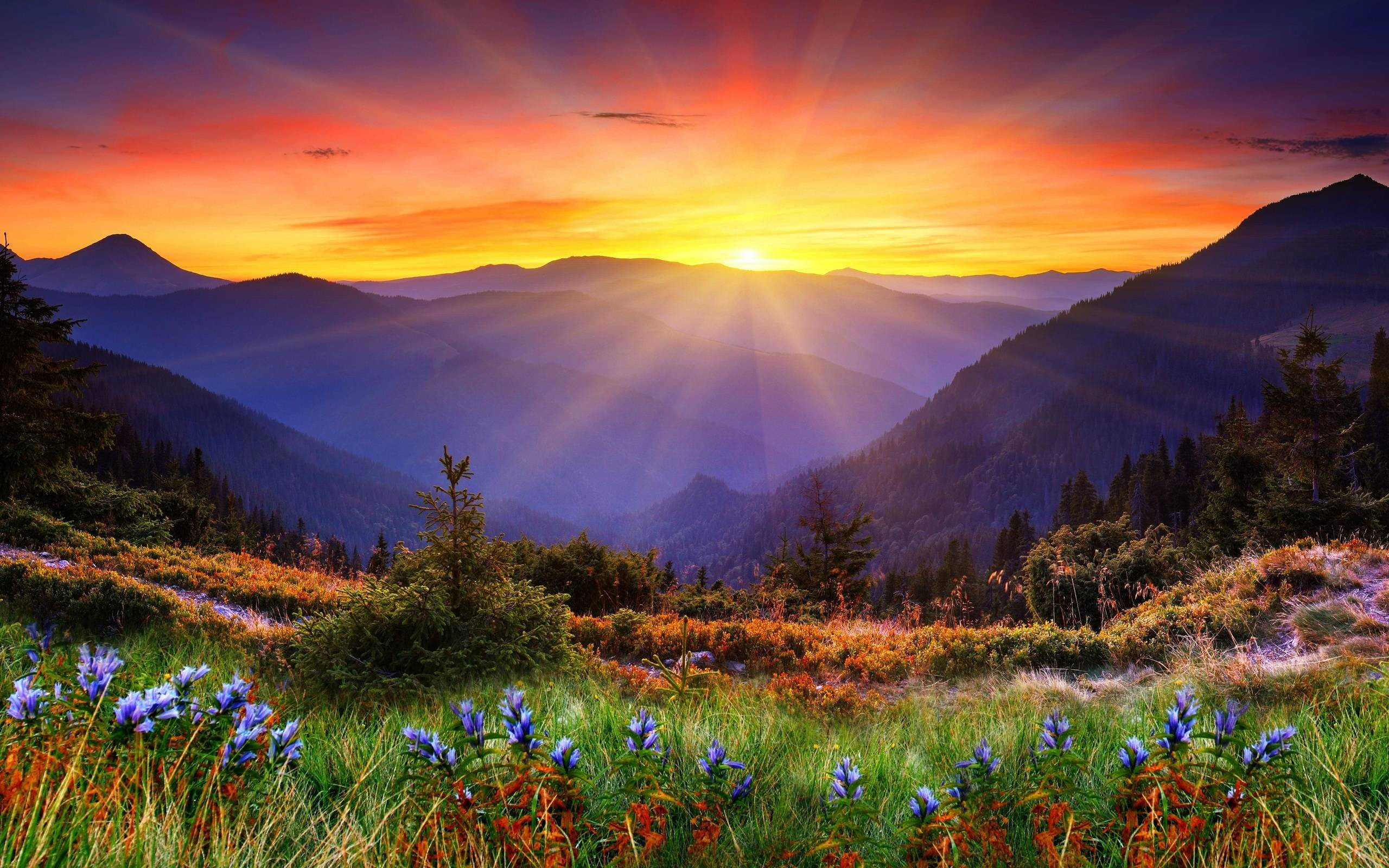 fondo de escritorio escénico,paisaje natural,naturaleza,montaña,cielo