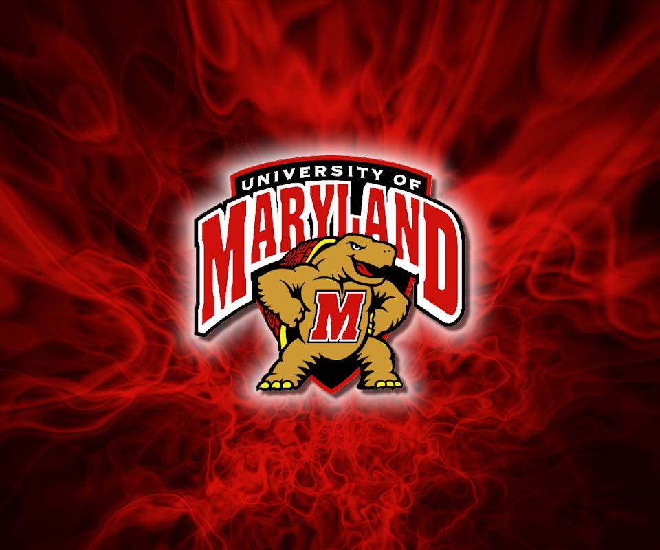 maryland fondo de pantalla,rojo,fuente,campeonato,equipo,gráficos