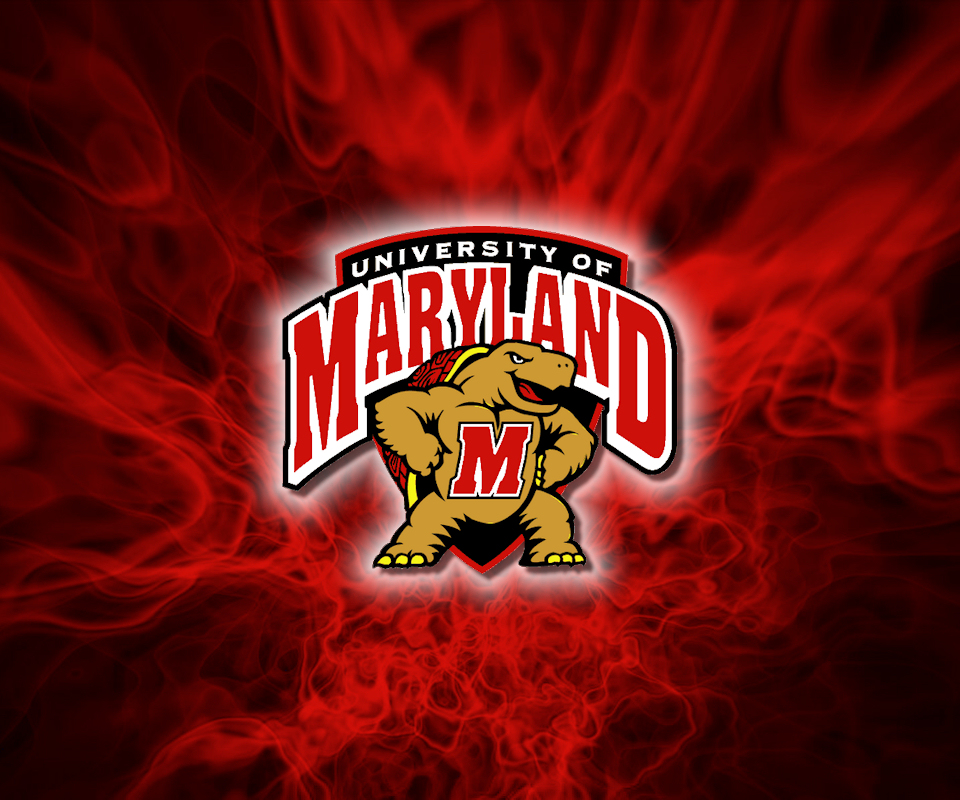 maryland tapete,rot,schriftart,meisterschaft,mannschaft,grafik