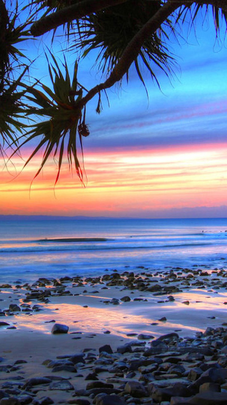 fond d'écran de plage iphone 6,ciel,la nature,océan,mer,arbre