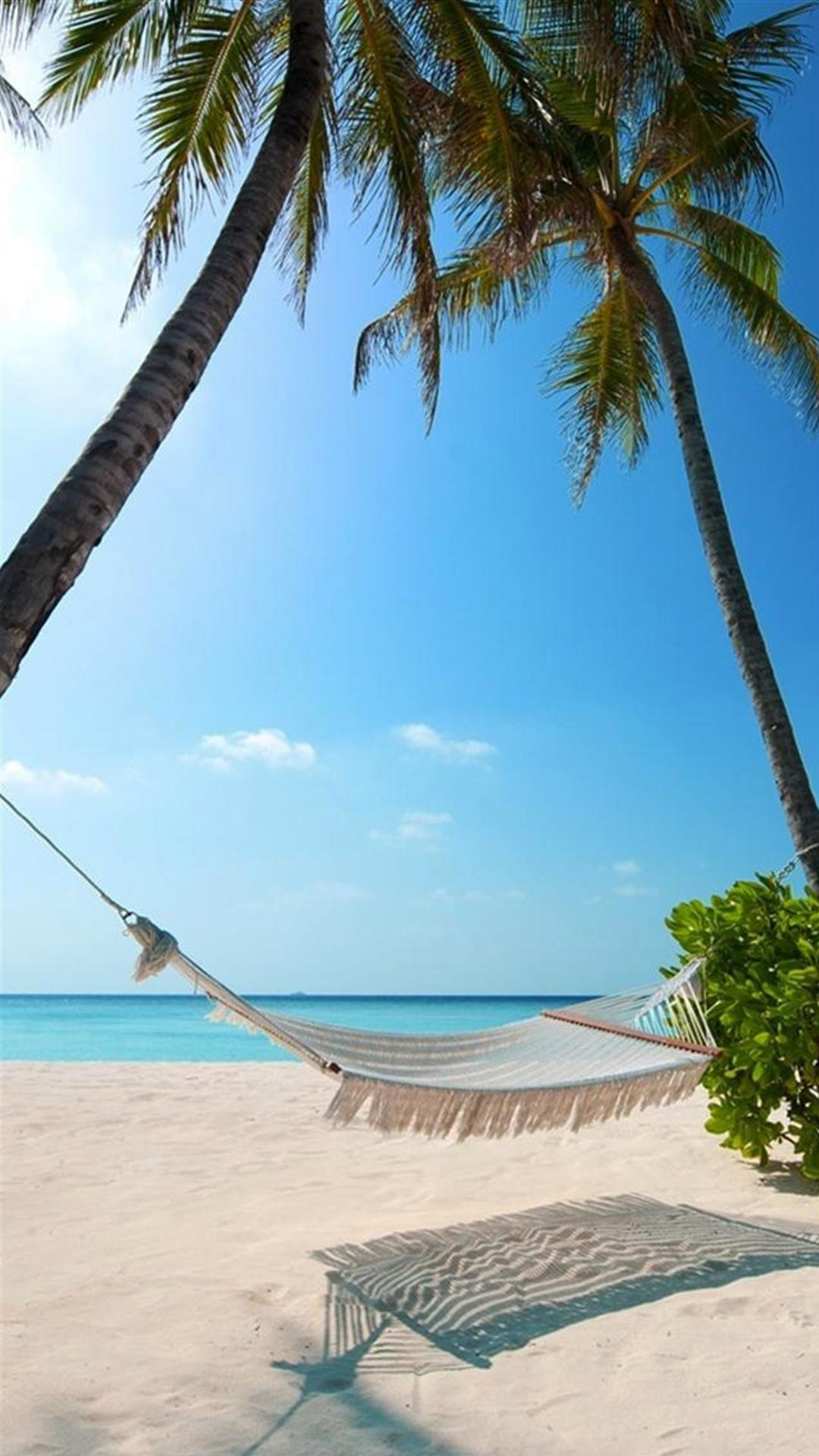 fond d'écran de plage iphone 6,hamac,caraïbes,vacances,palmier,arbre