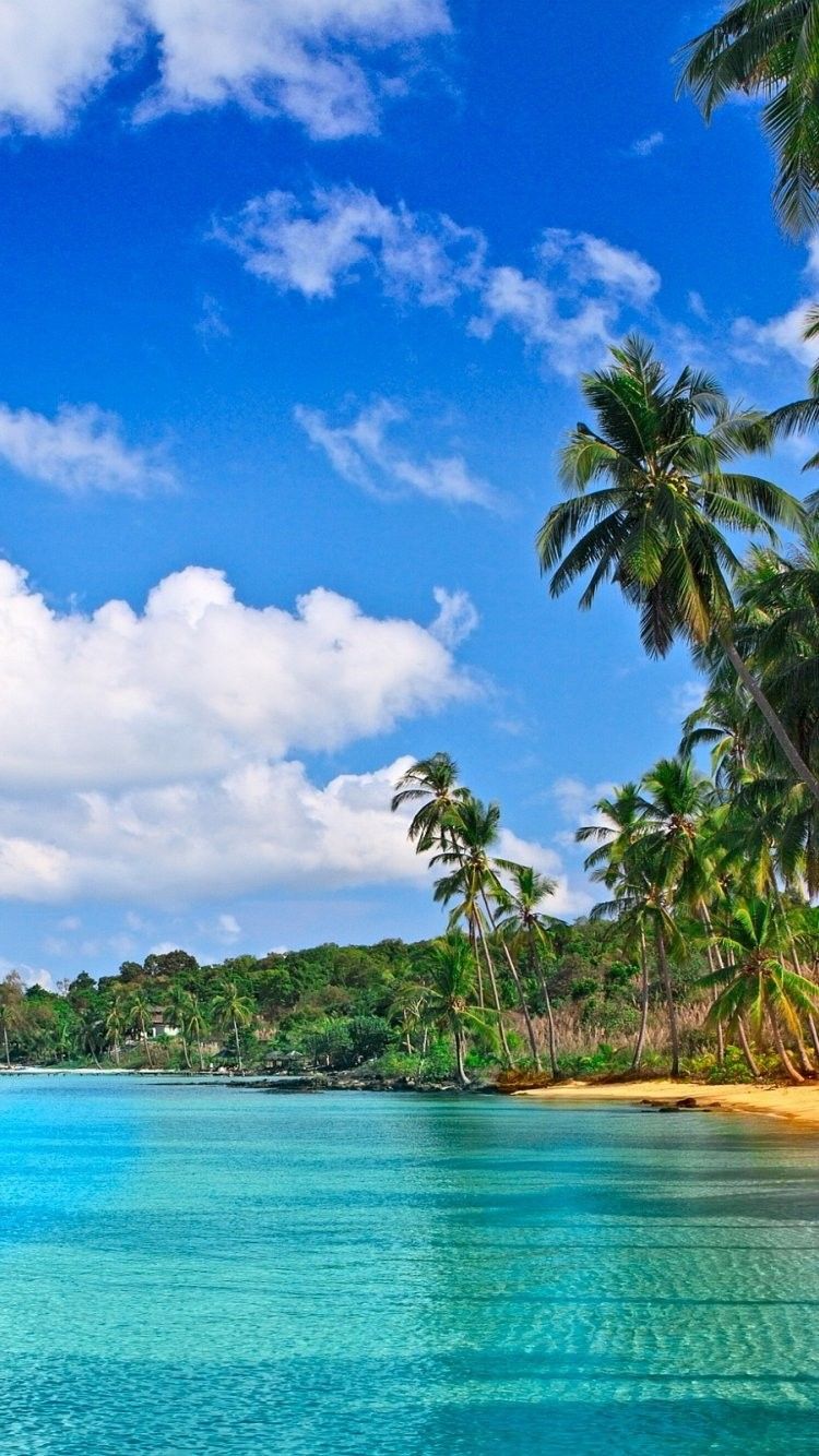 playa fondos de pantalla iphone 6,cuerpo de agua,paisaje natural,naturaleza,cielo,caribe