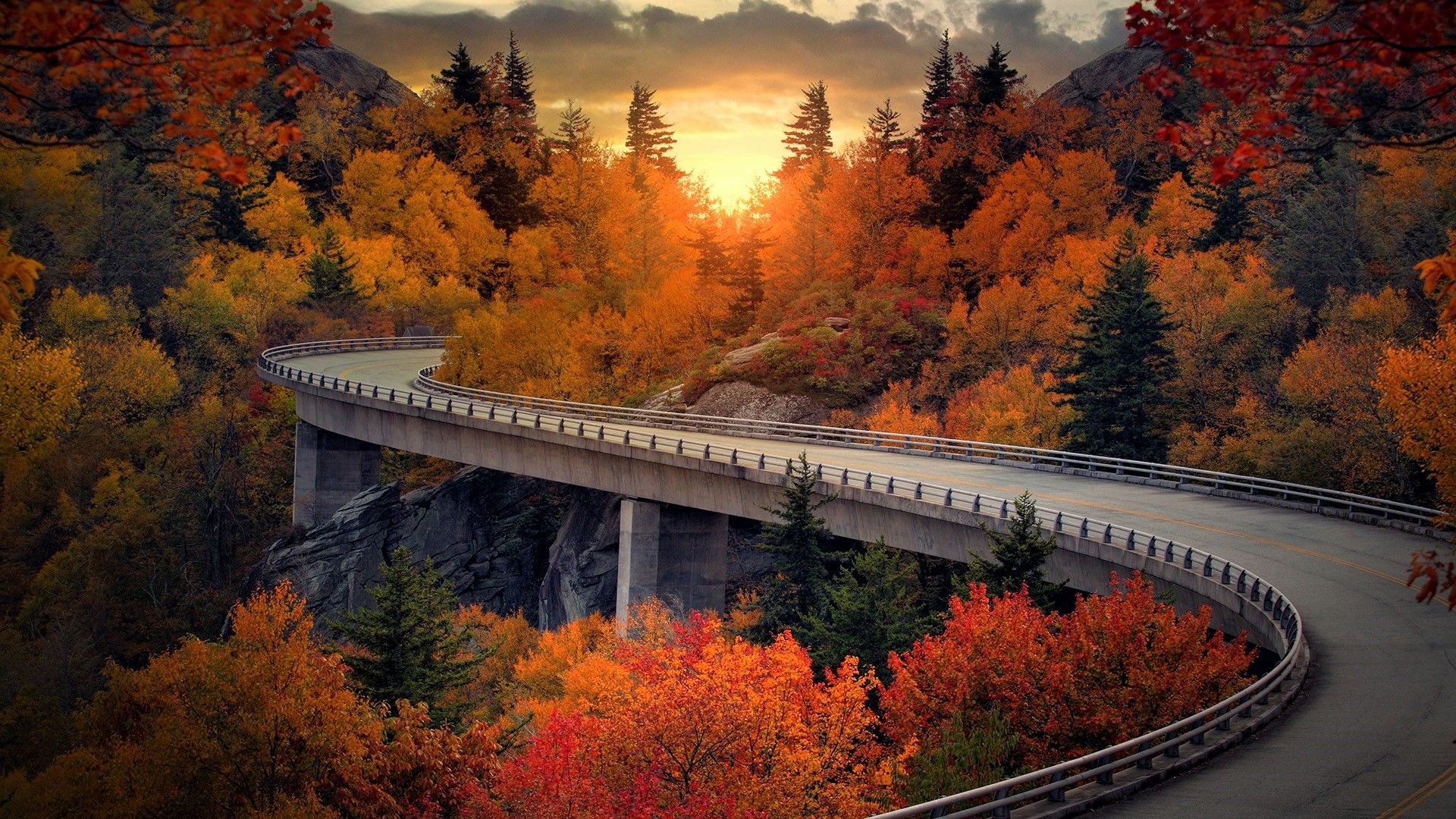north carolina wallpaper,nature,natural landscape,bridge,tree,leaf