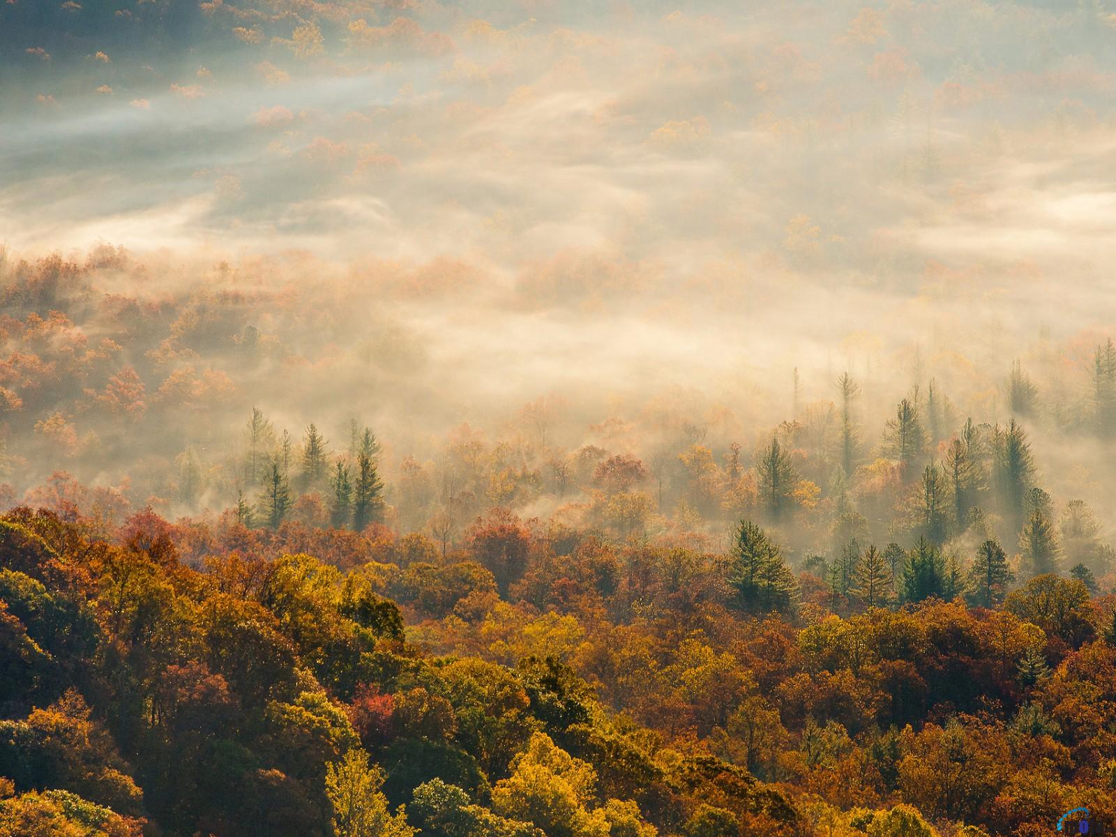 ノースカロライナ州の壁紙,自然,空,自然の風景,ペインティング,朝