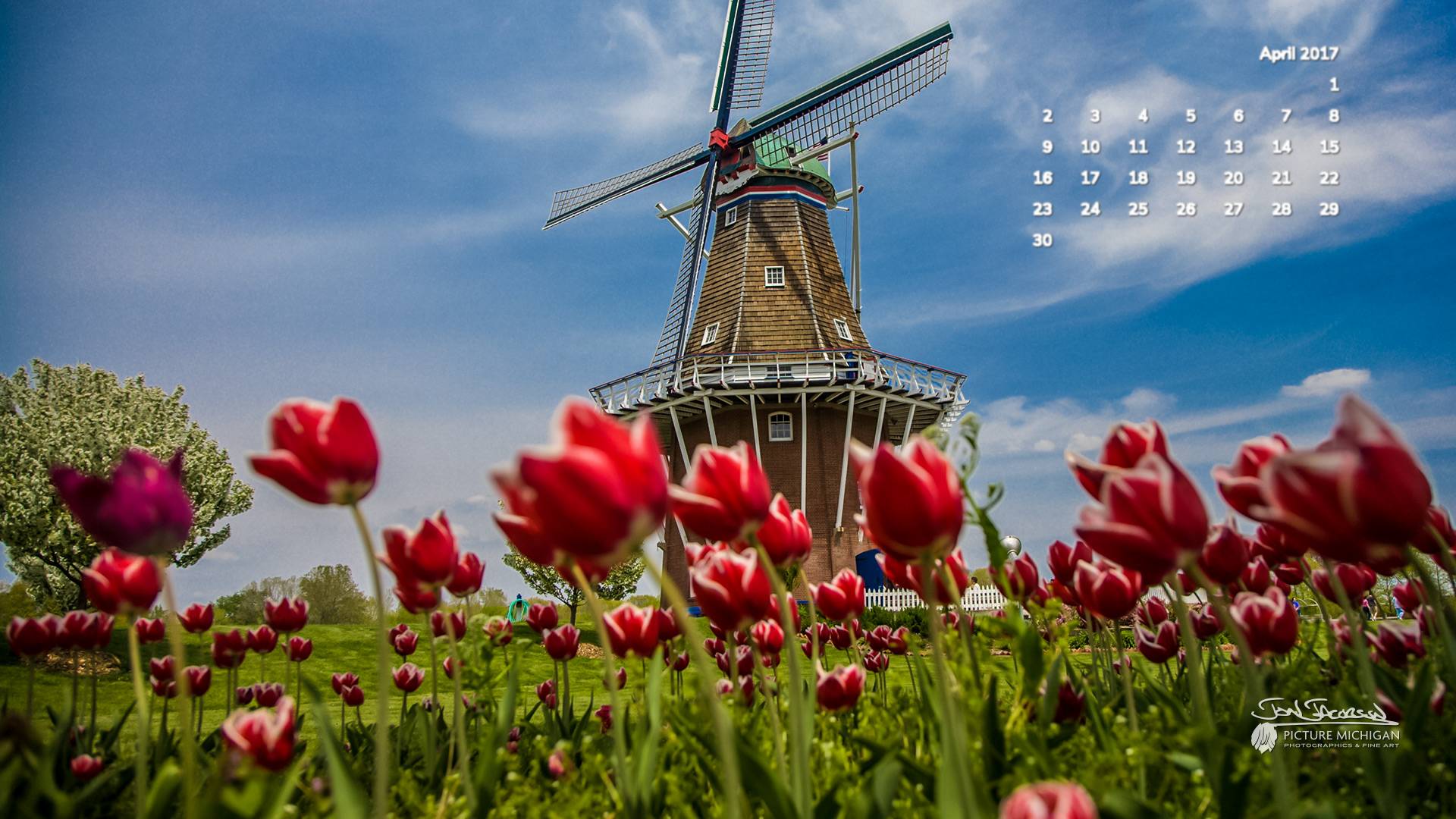 2017 desktop wallpaper,windmill,tulip,natural landscape,sky,flower