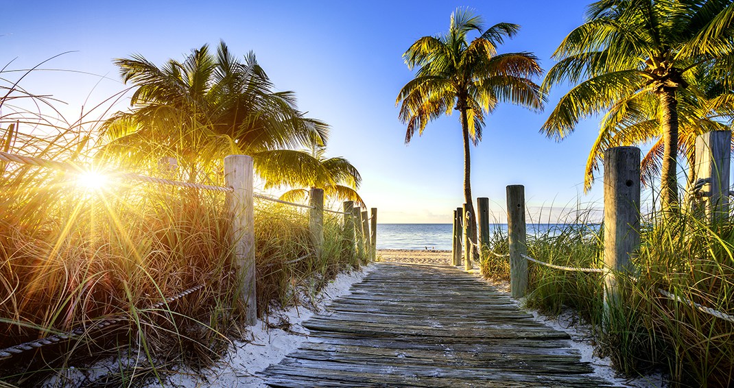 key west wallpaper,natur,baum,himmel,palme,natürliche landschaft