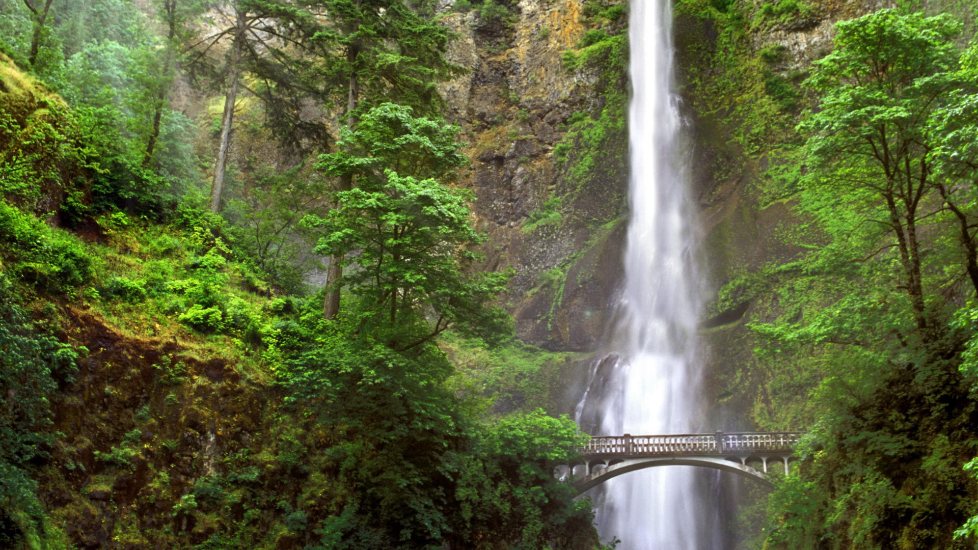 オレゴン壁紙,滝,自然の風景,水資源,自然,水域