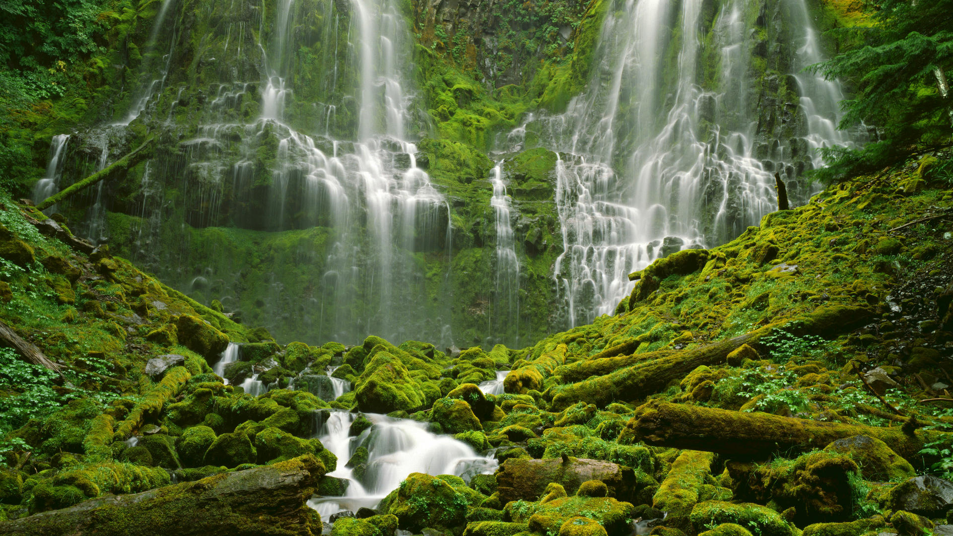 オレゴン壁紙,滝,水資源,自然の風景,水域,自然