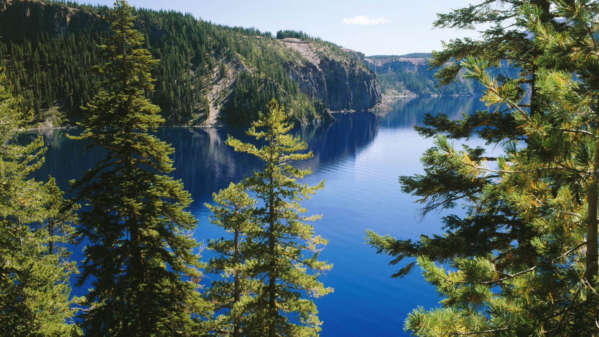 オレゴン壁紙,自然の風景,自然,水資源,larix lyalliisubalpineカラマツ,湖