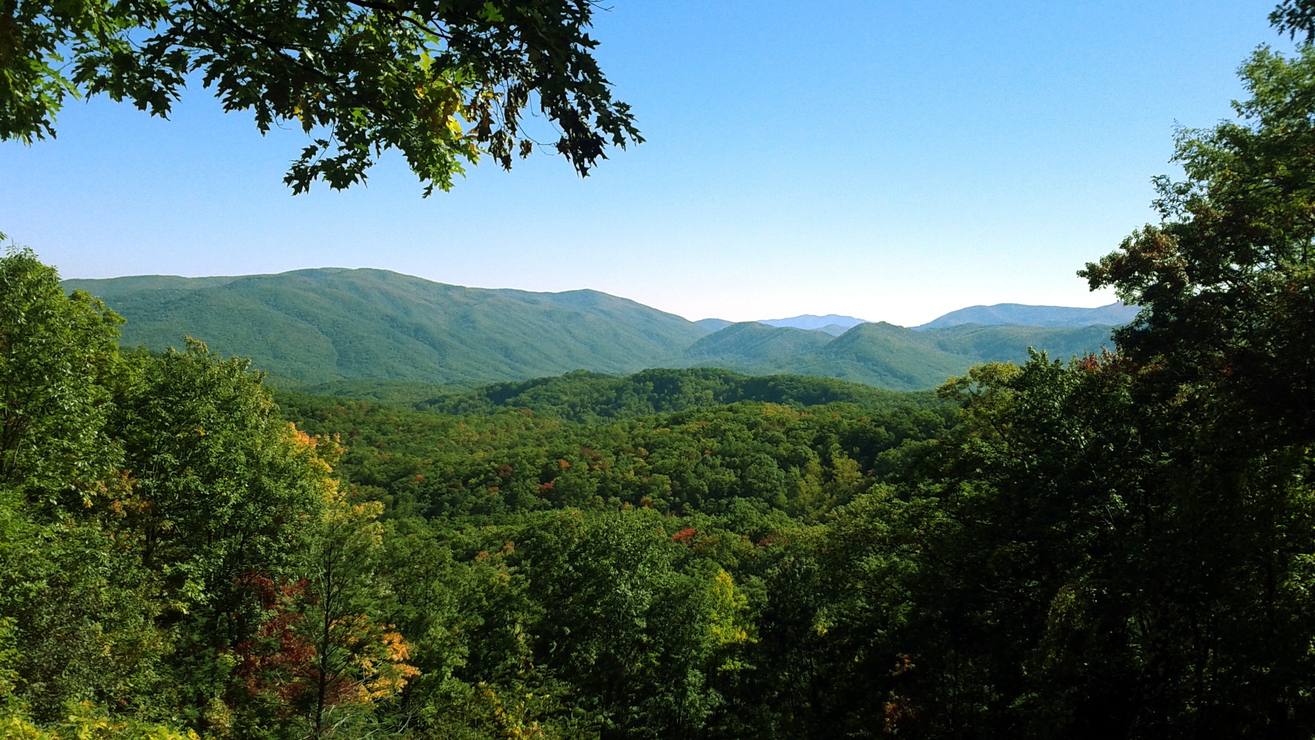 carta da parati del tennessee,natura,montagna,stazione di collina,paesaggio naturale