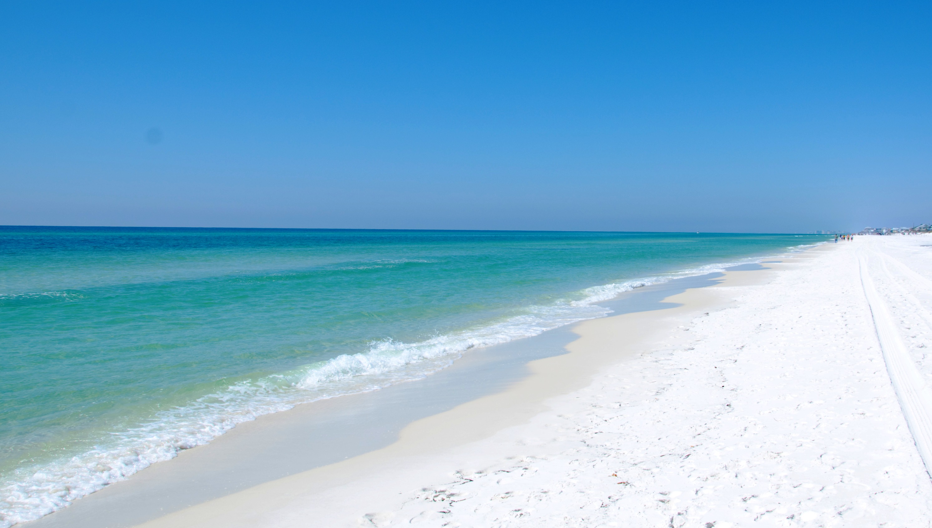 florida beach wallpaper,body of water,sea,blue,beach,sky