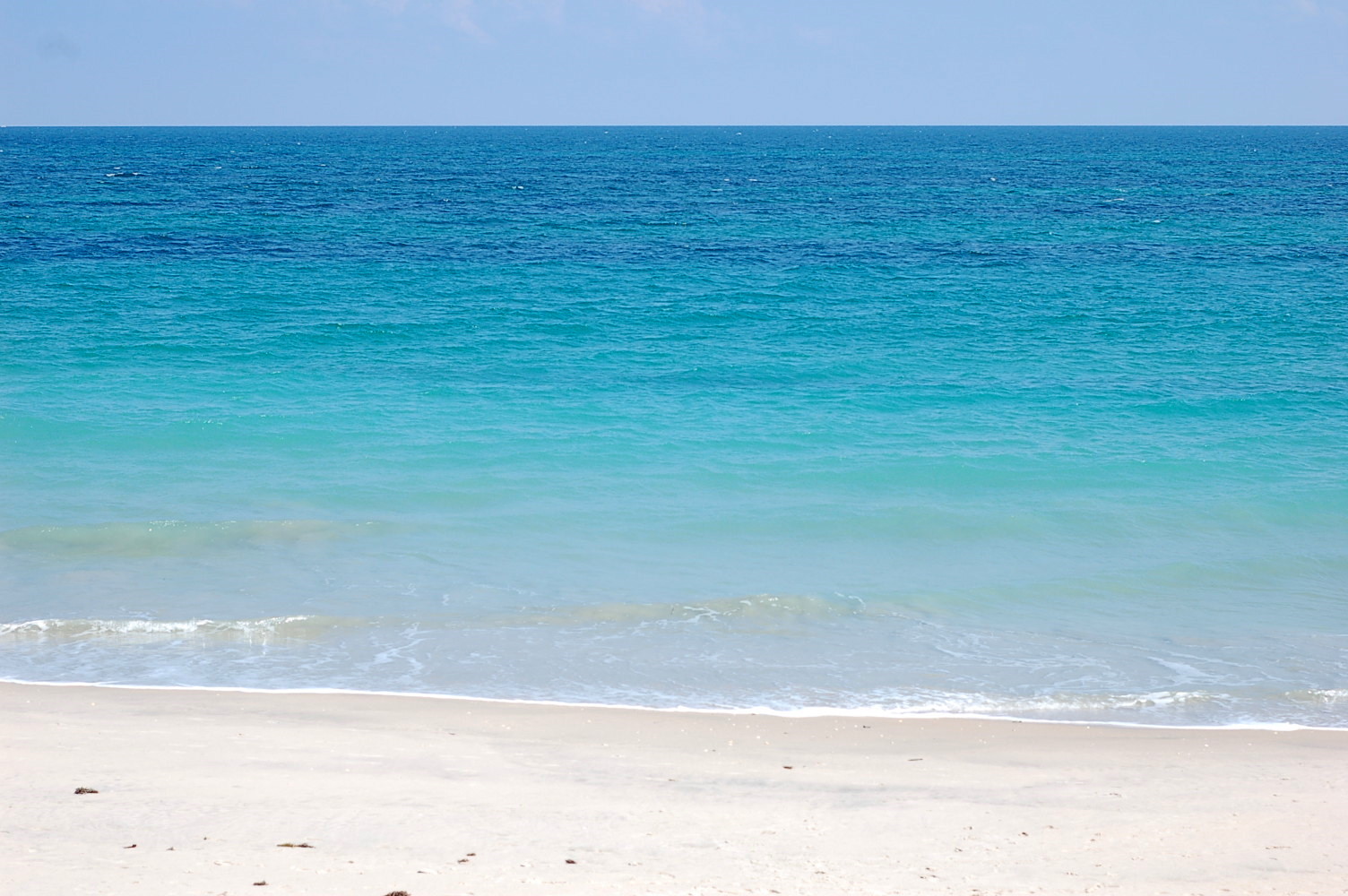 플로리다 해변 벽지,물줄기,바다,바닷가,대양,푸른