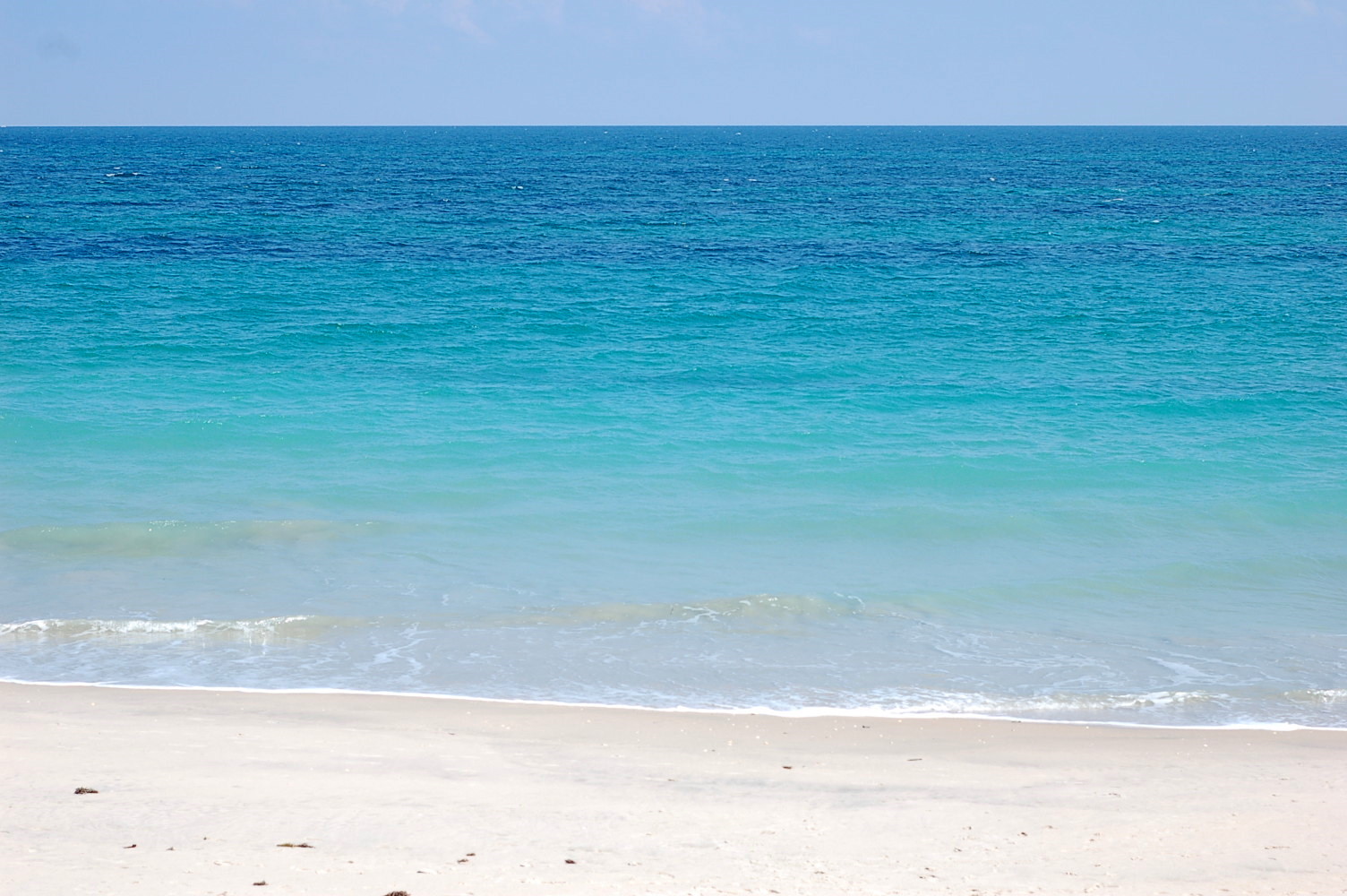 florida strand tapete,gewässer,meer,strand,ozean,blau