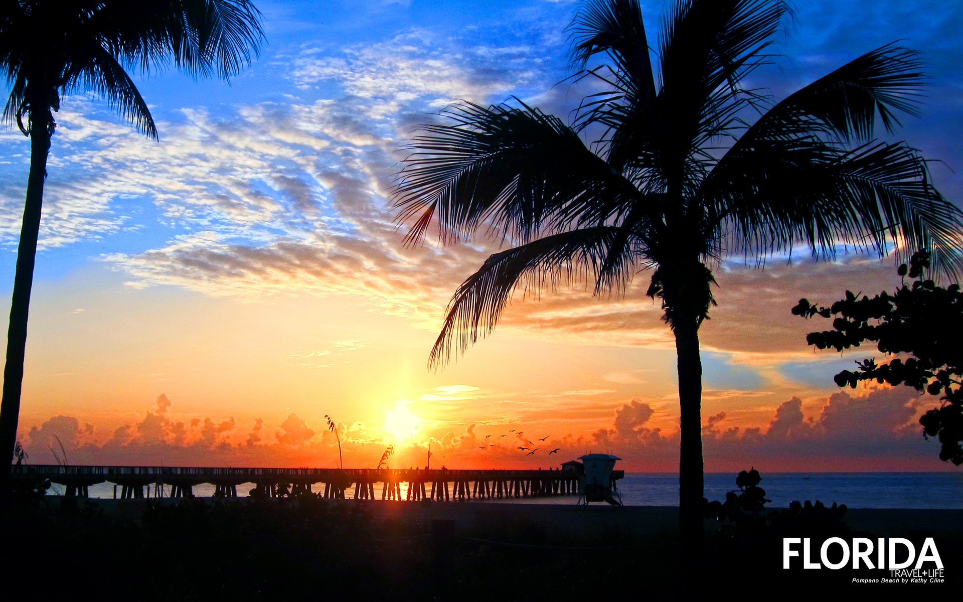 フロリダのビーチの壁紙,空,木,自然,日没,ヤシの木