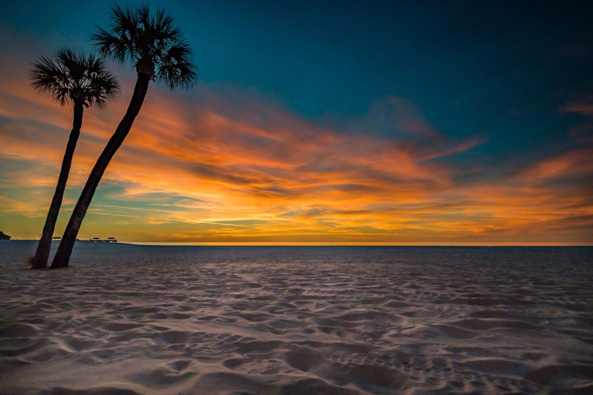 フロリダのビーチの壁紙,空,地平線,自然,木,海洋