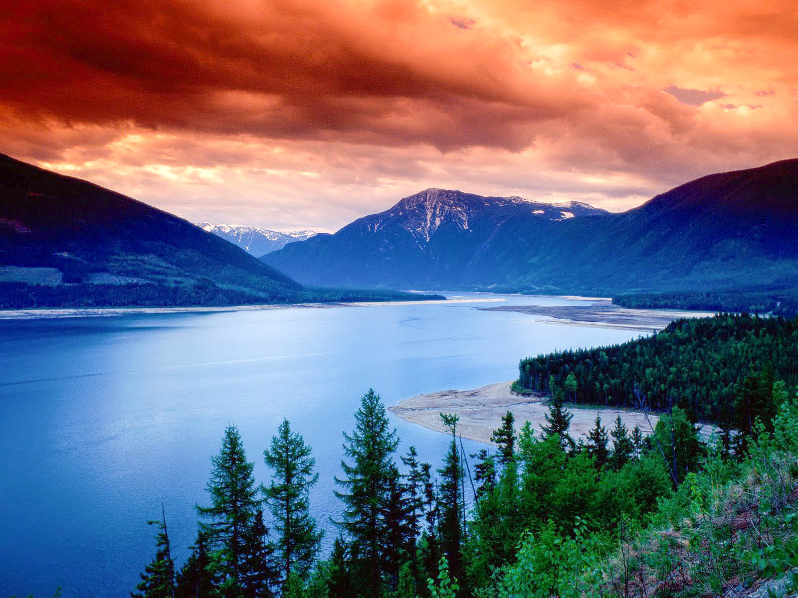 Wallpaper- WallpaperUse