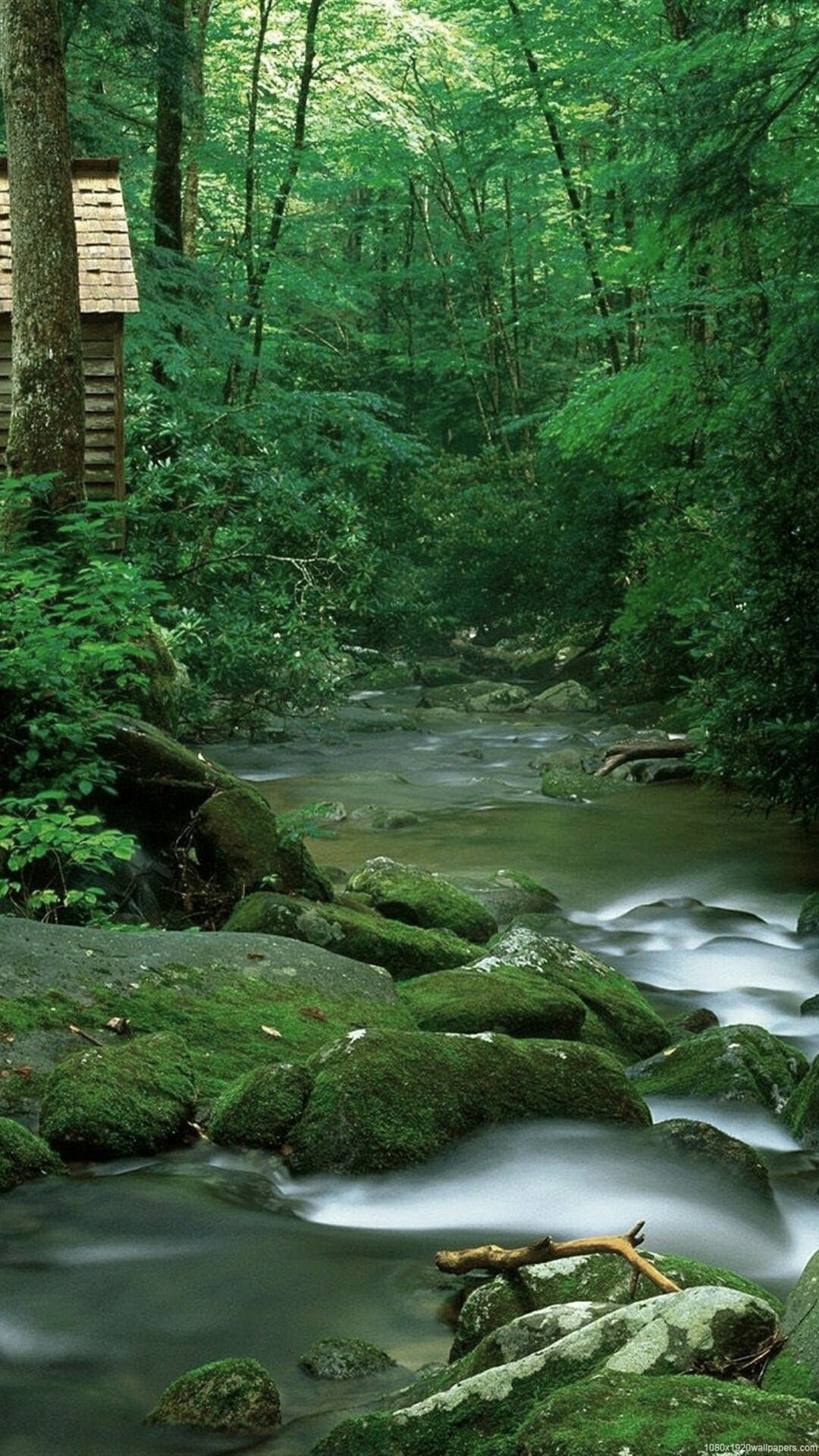 sfondi live hd per cellulari android,paesaggio naturale,corpo d'acqua,natura,risorse idriche,alveo