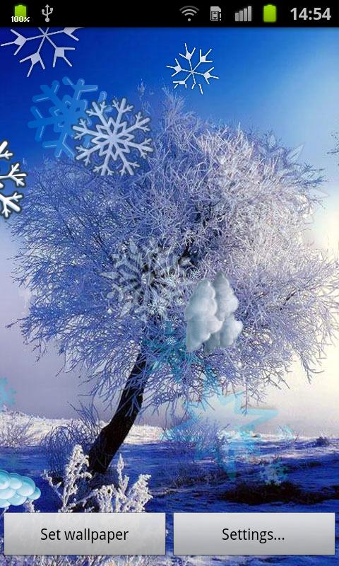 go live wallpaper,sky,winter,frost,snow,tree