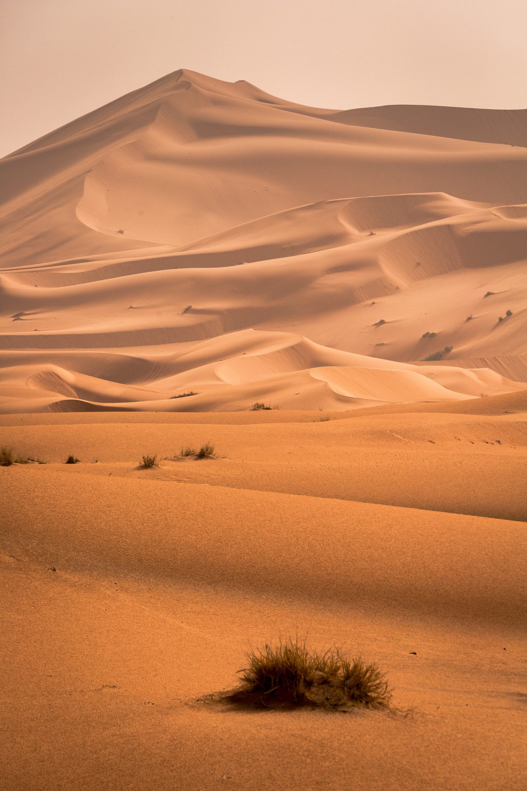 nueva descarga de fondos de pantalla en vivo,desierto,arena,ergio,sáhara,duna