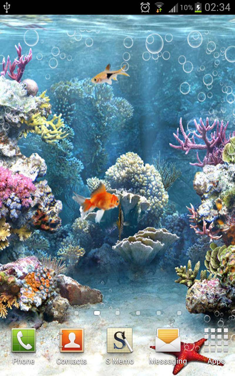 life wallpapers for mobile,aquarium,marine biology,underwater,reef,natural environment