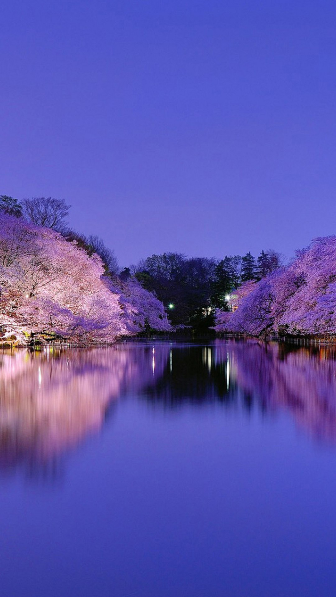 more live wallpaper,reflection,nature,natural landscape,body of water,purple