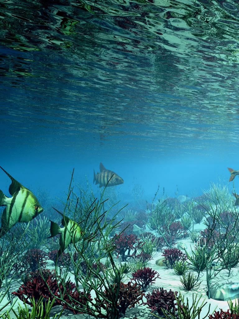 ポートレートモードの壁紙,自然,水中,海洋生物学,水,自然の風景