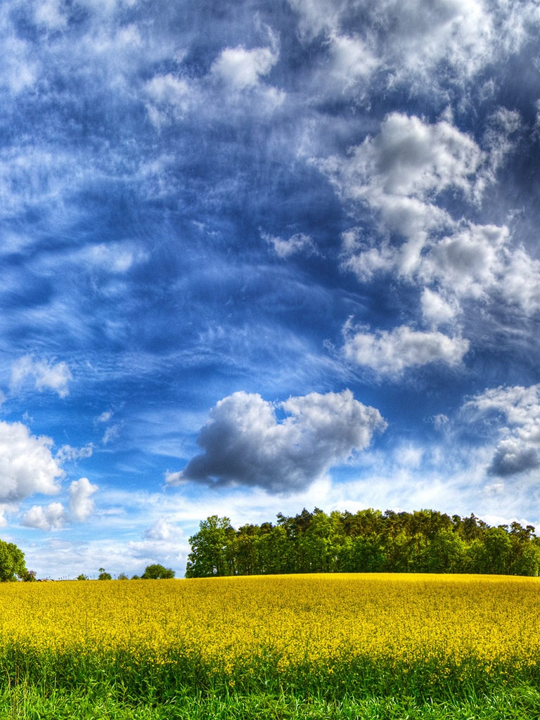 portrait mode wallpaper,sky,natural landscape,field,nature,cloud
